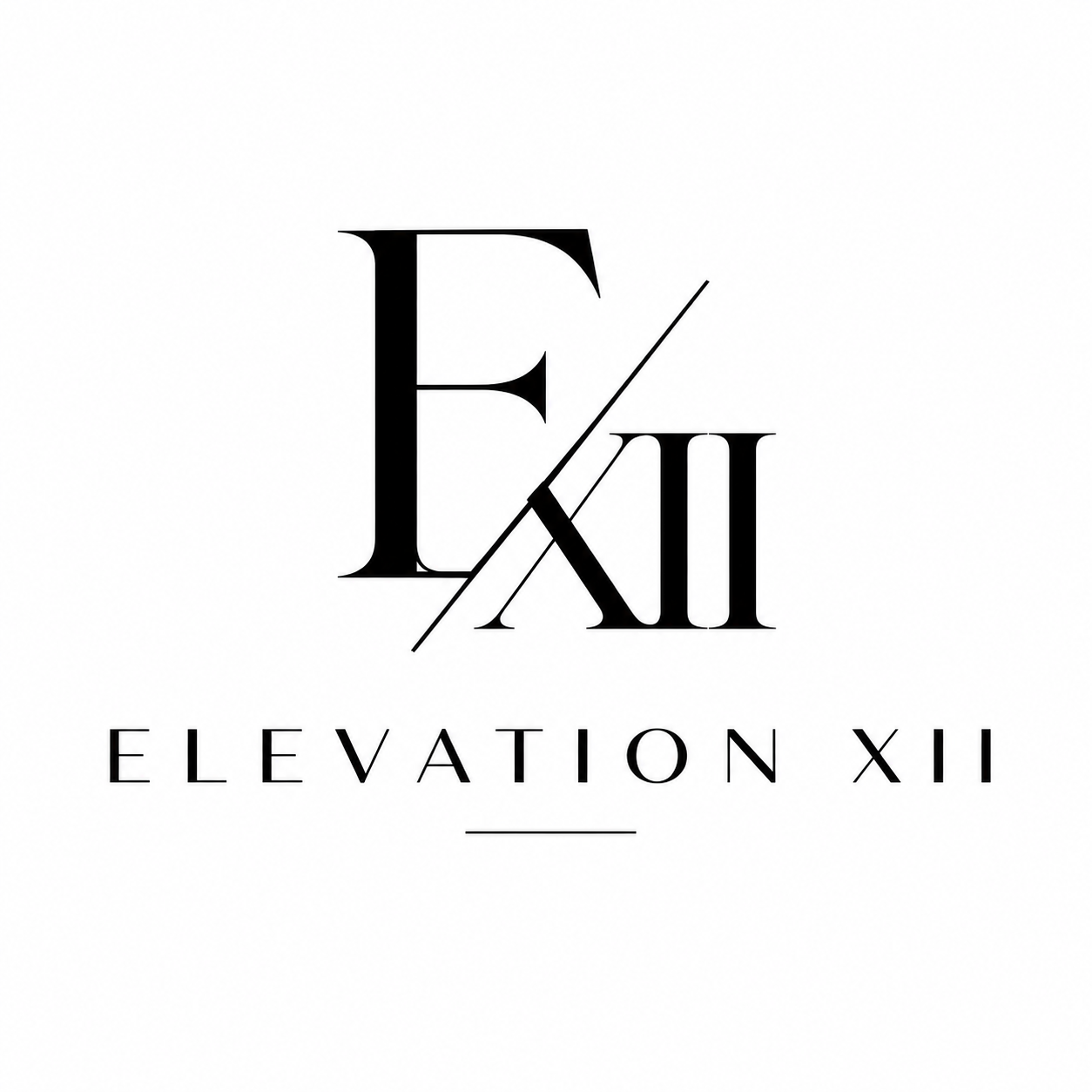 ELEVATION XII